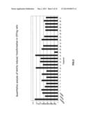 OXAZOLE AND THIAZOLE COMPOUNDS AS BETA-CATENIN MODULATORS AND USES THEREOF diagram and image