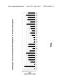 OXAZOLE AND THIAZOLE COMPOUNDS AS BETA-CATENIN MODULATORS AND USES THEREOF diagram and image