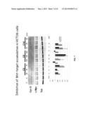 OXAZOLE AND THIAZOLE COMPOUNDS AS BETA-CATENIN MODULATORS AND USES THEREOF diagram and image