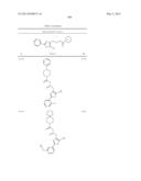 OXAZOLE AND THIAZOLE COMPOUNDS AS BETA-CATENIN MODULATORS AND USES THEREOF diagram and image