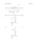 OXAZOLE AND THIAZOLE COMPOUNDS AS BETA-CATENIN MODULATORS AND USES THEREOF diagram and image