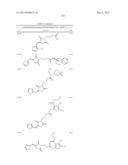 OXAZOLE AND THIAZOLE COMPOUNDS AS BETA-CATENIN MODULATORS AND USES THEREOF diagram and image