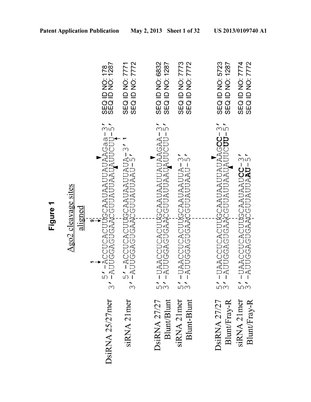 METHODS AND COMPOSITIONS FOR THE SPECIFIC INHIBITION OF BETA-CATENIN BY     DOUBLE-STRANDED RNA - diagram, schematic, and image 02
