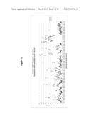 METHODS AND COMPOSITIONS FOR THE SPECIFIC INHIBITION OF BETA-CATENIN BY     DOUBLE-STRANDED RNA diagram and image