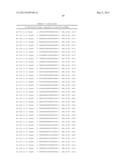 METHODS AND COMPOSITIONS FOR THE SPECIFIC INHIBITION OF BETA-CATENIN BY     DOUBLE-STRANDED RNA diagram and image