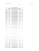 METHODS AND COMPOSITIONS FOR THE SPECIFIC INHIBITION OF BETA-CATENIN BY     DOUBLE-STRANDED RNA diagram and image