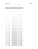 METHODS AND COMPOSITIONS FOR THE SPECIFIC INHIBITION OF BETA-CATENIN BY     DOUBLE-STRANDED RNA diagram and image