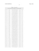 METHODS AND COMPOSITIONS FOR THE SPECIFIC INHIBITION OF BETA-CATENIN BY     DOUBLE-STRANDED RNA diagram and image