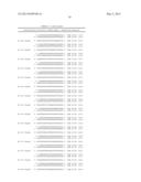 METHODS AND COMPOSITIONS FOR THE SPECIFIC INHIBITION OF BETA-CATENIN BY     DOUBLE-STRANDED RNA diagram and image