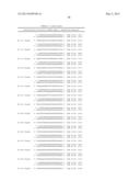 METHODS AND COMPOSITIONS FOR THE SPECIFIC INHIBITION OF BETA-CATENIN BY     DOUBLE-STRANDED RNA diagram and image