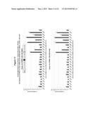 METHODS AND COMPOSITIONS FOR THE SPECIFIC INHIBITION OF BETA-CATENIN BY     DOUBLE-STRANDED RNA diagram and image