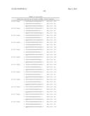 METHODS AND COMPOSITIONS FOR THE SPECIFIC INHIBITION OF BETA-CATENIN BY     DOUBLE-STRANDED RNA diagram and image