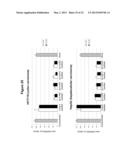 METHODS AND COMPOSITIONS FOR THE SPECIFIC INHIBITION OF BETA-CATENIN BY     DOUBLE-STRANDED RNA diagram and image