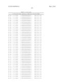 METHODS AND COMPOSITIONS FOR THE SPECIFIC INHIBITION OF BETA-CATENIN BY     DOUBLE-STRANDED RNA diagram and image