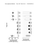 METHODS AND COMPOSITIONS FOR THE SPECIFIC INHIBITION OF BETA-CATENIN BY     DOUBLE-STRANDED RNA diagram and image