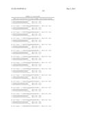 METHODS AND COMPOSITIONS FOR THE SPECIFIC INHIBITION OF BETA-CATENIN BY     DOUBLE-STRANDED RNA diagram and image