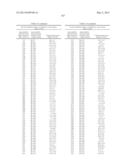 METHODS AND COMPOSITIONS FOR THE SPECIFIC INHIBITION OF BETA-CATENIN BY     DOUBLE-STRANDED RNA diagram and image