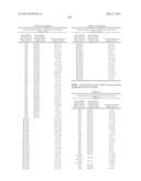 METHODS AND COMPOSITIONS FOR THE SPECIFIC INHIBITION OF BETA-CATENIN BY     DOUBLE-STRANDED RNA diagram and image