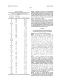 METHODS AND COMPOSITIONS FOR THE SPECIFIC INHIBITION OF BETA-CATENIN BY     DOUBLE-STRANDED RNA diagram and image