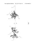 HIGH SALT-RESISTANCE ANTIBACTERIAL PEPTIDE AND METHOD FOR PRODUCING THE     SAME diagram and image