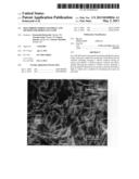 SILK FIBROIN POROUS MATERIAL AND METHOD FOR PRODUCING SAME diagram and image