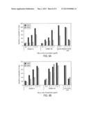 COMPOSITIONS MONOVALENT FOR CD28 BINDING AND METHODS OF USE diagram and image