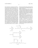 COMPOSITIONS MONOVALENT FOR CD28 BINDING AND METHODS OF USE diagram and image