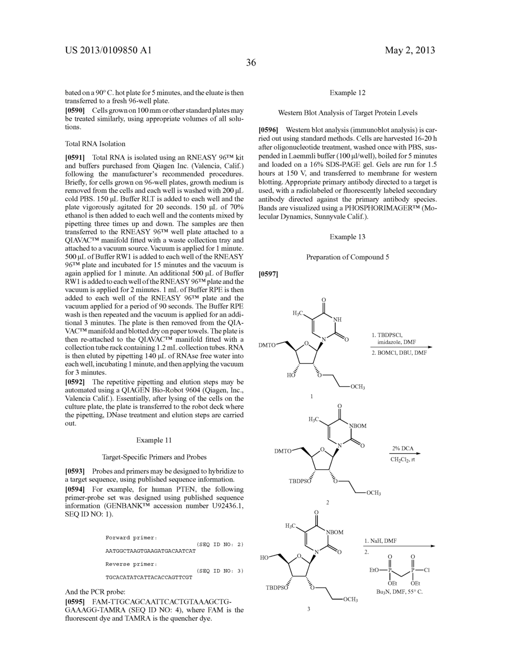 MODIFIED 5' DIPHOSPHATE NUCLEOSIDES AND OLIGOMERIC COMPOUNDS PREPARED     THEREFROM - diagram, schematic, and image 37