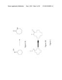 GAS AND LIQUID PHASE CATALYTIC BECKMANN REARRANGEMENT OF OXIMES TO PRODUCE     LACTAMS diagram and image