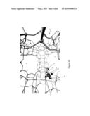 GAS AND LIQUID PHASE CATALYTIC BECKMANN REARRANGEMENT OF OXIMES TO PRODUCE     LACTAMS diagram and image