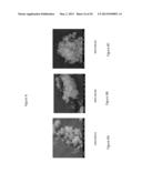 GAS AND LIQUID PHASE CATALYTIC BECKMANN REARRANGEMENT OF OXIMES TO PRODUCE     LACTAMS diagram and image