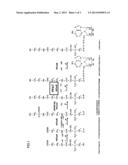POLYNUCLEOTIDE ENCODING PPAT DERIVED FROM JATROPHA AND USE THEREOF diagram and image