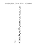 POLYNUCLEOTIDE ENCODING PPAT DERIVED FROM JATROPHA AND USE THEREOF diagram and image