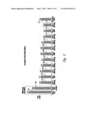 SELECTIVE HIGH FREQUENCY SPINAL CORD STIMULATION FOR INHIBITING PAIN WITH     REDUCED SIDE EFFECTS, AND ASSOCIATED SYSTEMS AND METHODS diagram and image