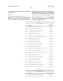 PRIMATE MODEL FROM THE FAMILY CERCOPITHECIDAE INFECTED BY A HBV STRAIN OF     HUMAN GENOTYPE diagram and image