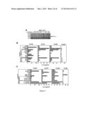 RNA Containing Modified Nucleosides and Methods of Use Thereof diagram and image