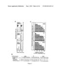 RNA Containing Modified Nucleosides and Methods of Use Thereof diagram and image