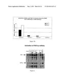 RNA Containing Modified Nucleosides and Methods of Use Thereof diagram and image