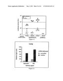 RNA Containing Modified Nucleosides and Methods of Use Thereof diagram and image