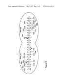 METHODS AND MEANS TO MODIFY A PLANT GENOME AT A NUCLEOTIDE SEQUENCE     COMMONLY USED IN PLANT GENOME ENGINEERING diagram and image