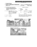 SNP Alleles Associated with Leopard Complex Spotting and Congenital     Stationary Blindness and Agents, Methods and Kits Thereof diagram and image