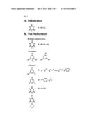 METHODS, COMPOSITIONS AND DEVICES UTILIZING STRUCTURALLY STABLE CYANURIC     ACID HYDROLASE diagram and image