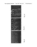 MICROSIEVE USING CARBON NANOTUBES diagram and image