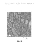 SEMICONDUCTOR STRUCTURE HAVING NANOCRYSTALLINE CORE AND NANOCRYSTALLINE     SHELL WITH INSULATOR COATING diagram and image