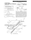 SURFACE LIGHT SOURCE AND LIQUID CRYSTAL DISPLAY DEVICE diagram and image