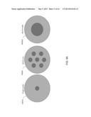 OPTICAL FIBER AMPLIFIER ARRAY diagram and image