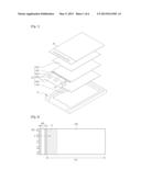 DISPLAY DEVICE diagram and image