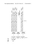 PILOT SIGNAL TRANSMITTING METHOD, BASE STATION, MOBILE STATION AND     CELLULAR SYSTEM TO WHICH THE METHOD IS APPLIED diagram and image