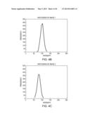 LOW-LIGHT FACE DETECTION diagram and image