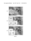 METHOD FOR GENERATING A SECURITY BI-LEVEL IMAGE FOR A BANKNOTE diagram and image